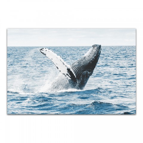 Splashing Whale 24x16 Canvas Wall Art