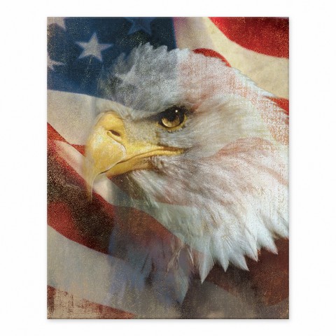Patriotic Eagel 8x10 Tabletop Canvas