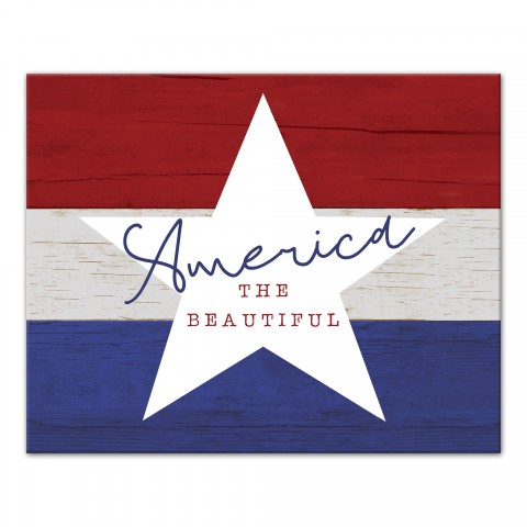 America The Beautiful 20x16 Canvas Wall Art