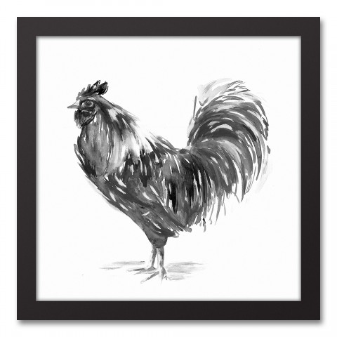 B&W Ink Rooster 12x12 Black Framed Canvas
