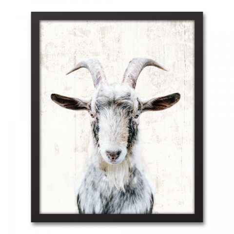 Farmhouse Goat 16x20 Black Framed Canvas