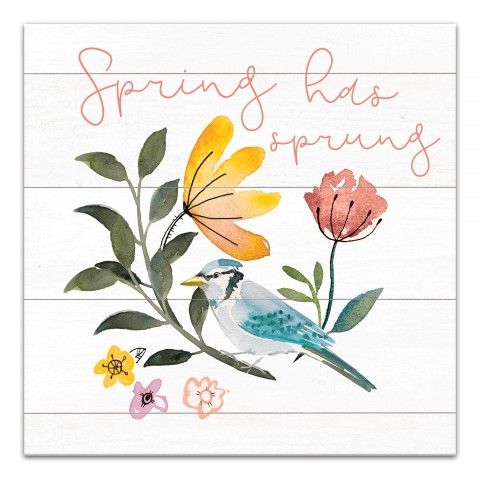Blue Jay Spring Sprung  16x16 Canvas Wall Art