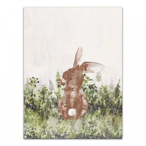 Bunny in Field  16x20 Canvas Wall Art