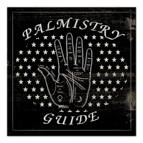 Palmistry Guide 12x12 Canvas Wall Art