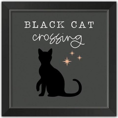 Black Cat  16x16 Black Framed Print Under Glass