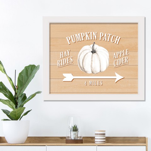 Pumpkin Patch 20X16 White Framed Print Under Glass