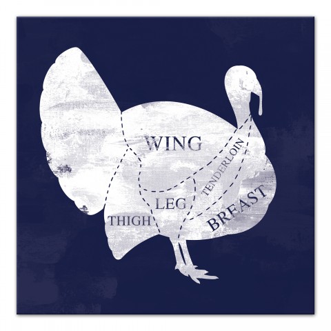 Turkey Anatomy 16x16 Canvas Wall Art