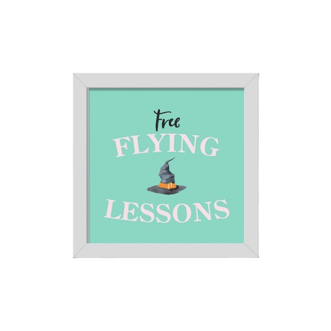 Flying Lesson 16x16 White Framed Print Under Glass