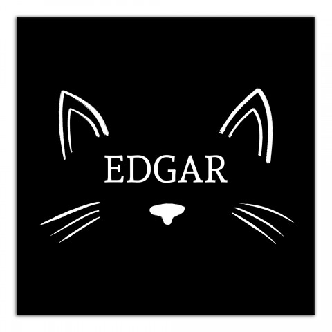Cat Face 12x12 Personalized Canvas Wall Art