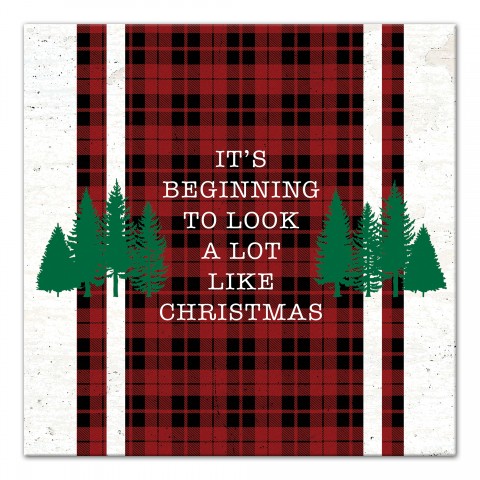Look Like Christmas Plaid 12x12 Canvas Wall Art