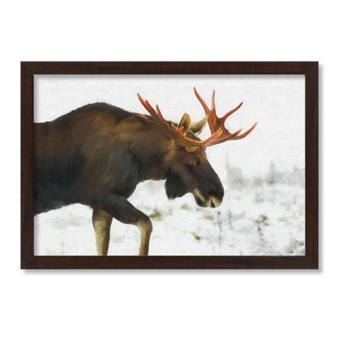 Moose In The Snow 30X20 Black Framed Print Under Glass