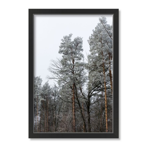 Dusty Trees 20x30 Black Framed Print Under Glass