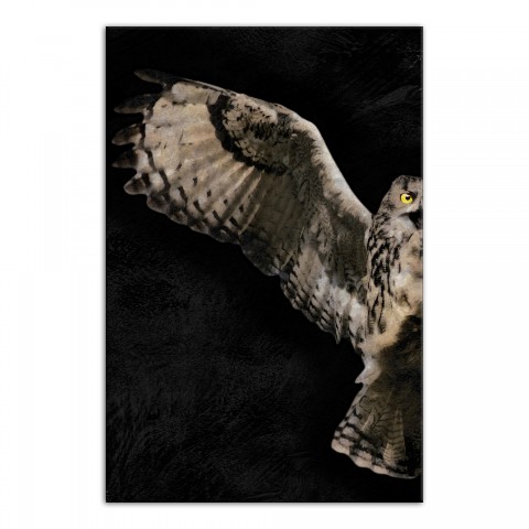 Painty Flying Owl Left 20x30 Canvas Wall Art