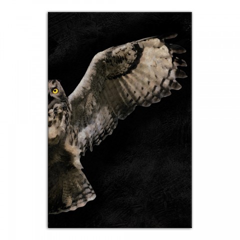 Painty Flying Owl Right 20x30 Canvas Wall Art