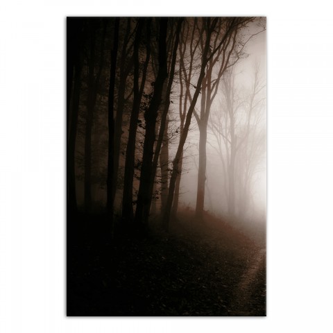 Creepy Forrest Left 20x30 Canvas Wall Art