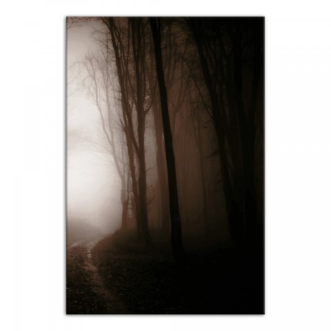Creepy Forrest Right 20x30 Canvas Wall Art