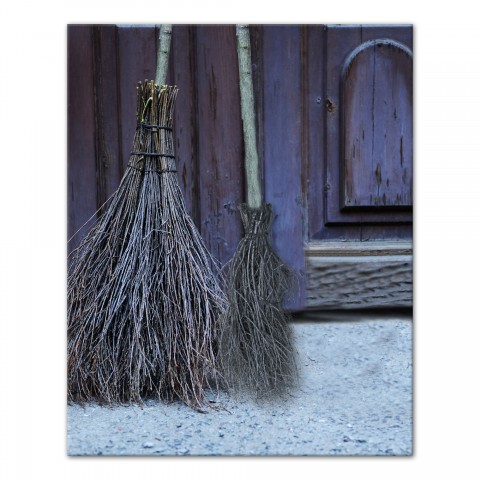 Broom Door Real Blue 24x30 Canvas Wall Art