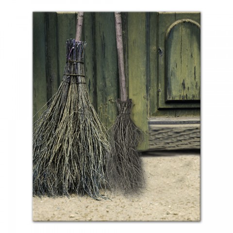 Broom Door Real Green 24x30 Canvas Wall Art