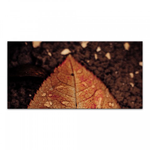 Split Brown Leaf Top 10x20 Canvas Wall Art