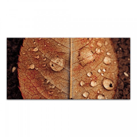 Split Brown Leaf Middle 10x20 Canvas Wall Art