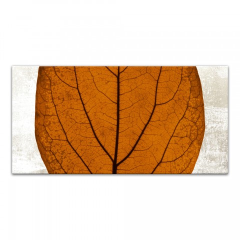 Split Fall Leaf Middle 10x20 Canvas Wall Art