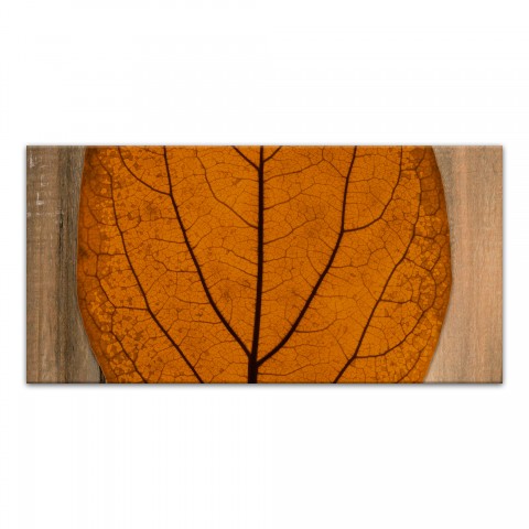 Split Leaf On Wood Middle 10x20 Canvas Wall Art