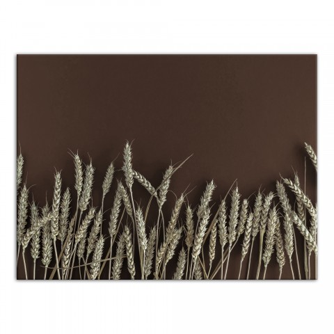 Wheat On Brown 30x40 Canvas Wall Art