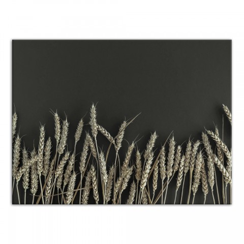 Wheat On Green 30x40 Canvas Wall Art