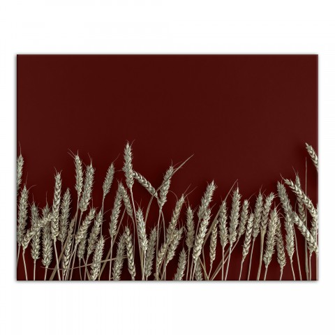 Wheat On Red 30x40 Canvas Wall Art