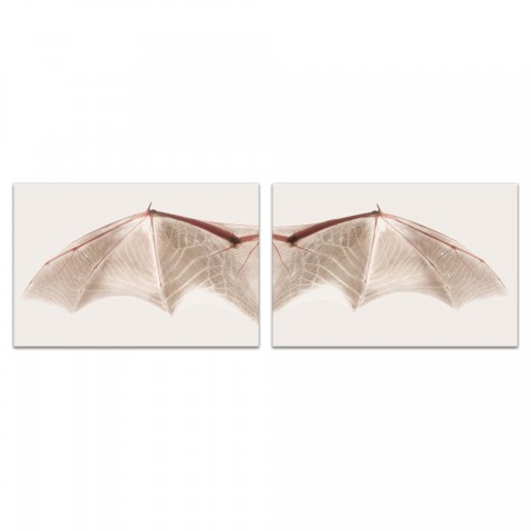 Neutral Bat Wing Cream Set 20x30 Canvas Wall Art
