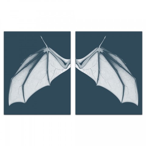Bat Wing Blue Set 20x30 Canvas Wall Art