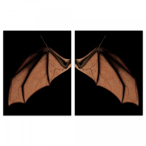 Bat Wing Set 20x30 Canvas Wall Art