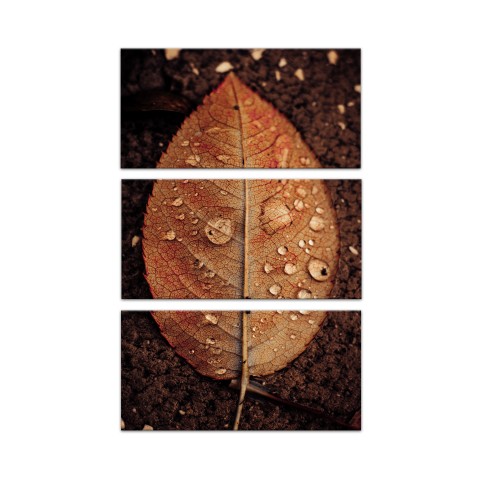 Split Brown Leaf Set 10x20 Canvas Wall Art
