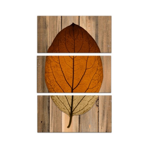 Split Leaf On Wood Set 10x20 Canvas Wall Art