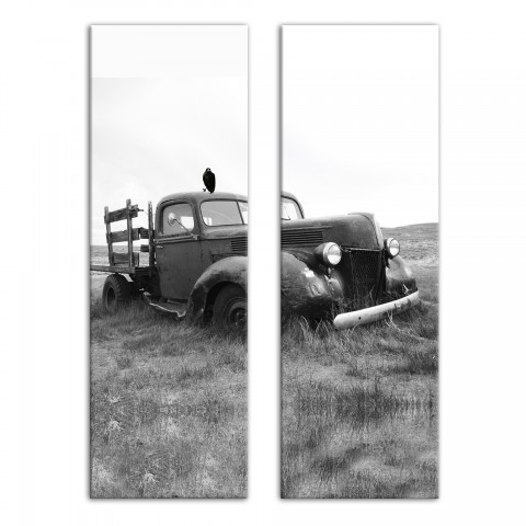 Abandonded Truck Field Crow Set 20x60 Canvas Wall Art