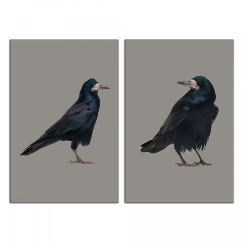 Crow Tan Set 24x36 Canvas Wall Art