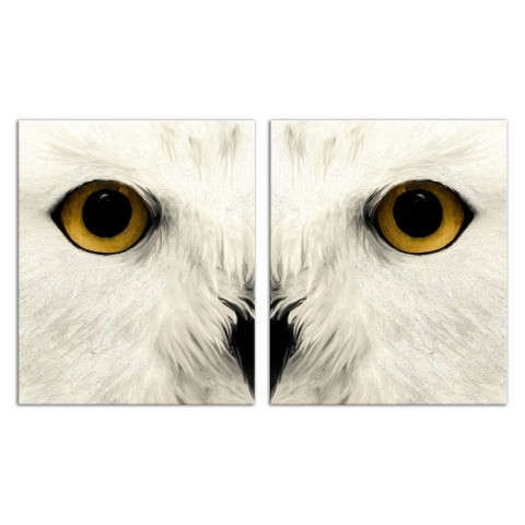 Muted Owl Face Set 20x24 Canvas Wall Art