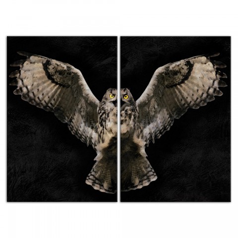 Painty Flying Owl Set 20x30 Canvas Wall Art