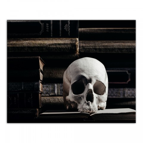 Skull Book Library 16x20 Canvas Wall Art