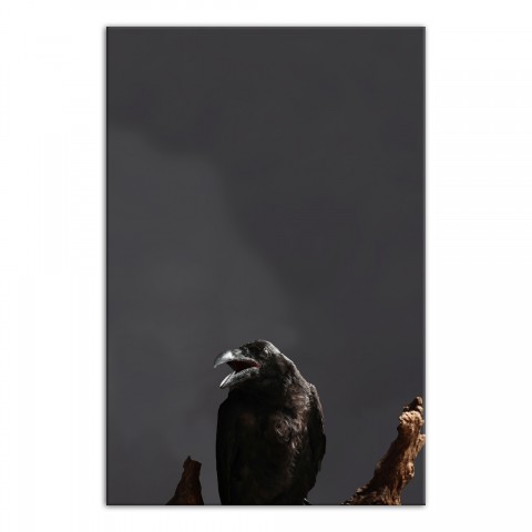 Creepy Crow Branch Right 24x36 Canvas Wall Art