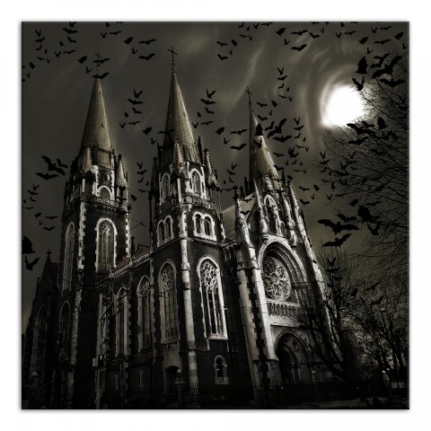 Haunted Castle With Bats 24x24 Canvas Wall Art