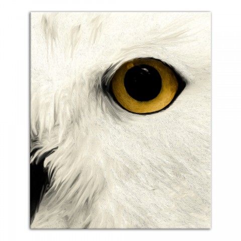 Muted Owl Face Right 20x24 Canvas Wall Art