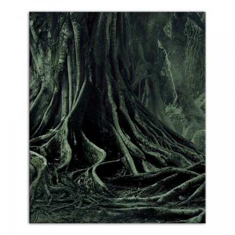 Creepy Trees Left 20x24 Canvas Wall Art