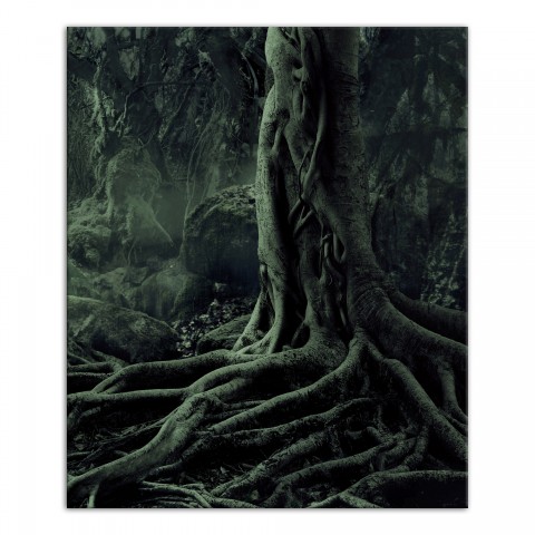 Creepy Trees Right 20x24 Canvas Wall Art