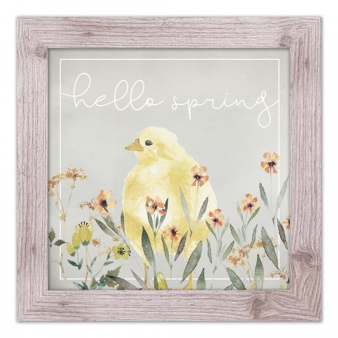 Hello Spring Chick 2 16x16 Western White Framed Print