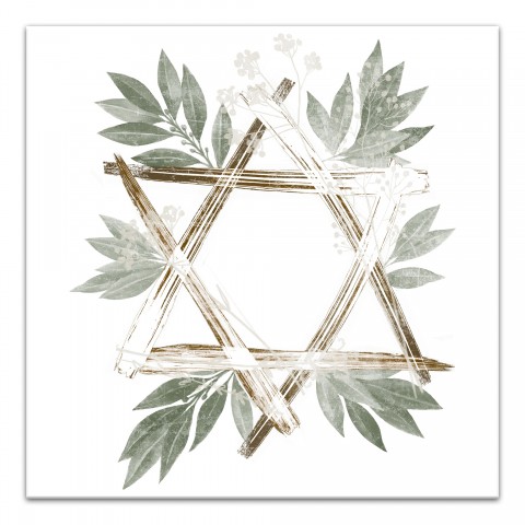 Botanical Star Of David 20x20 Canvas Wall Art