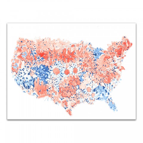 American Flower Map 18x24 Canvas Wall Art