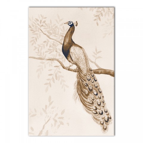 Creamy Peacock 12 x 18 Canvas Wall Art