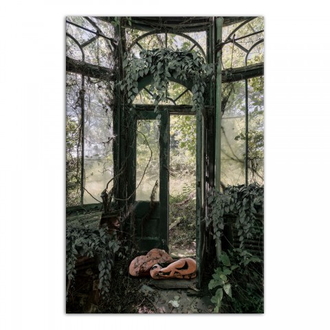 Overgrown Greenhouse 20 x 30 Canvas Wall Art
