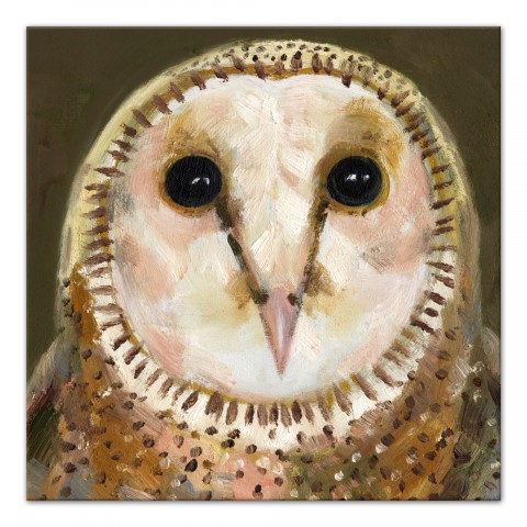 Green Owl 40 x 40 Canvas Wall Art